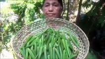 Village de la Nourriture  Plein de Gombo Fry Recette préparée dans mon Village par ma Maman