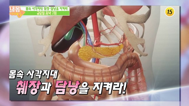 몸속 사각지대 췌장과 담낭을 지켜라!_내 몸 사용설명서 253회 예고
