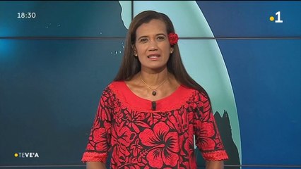 TH : Le journal des européennes du 20 mai 2019