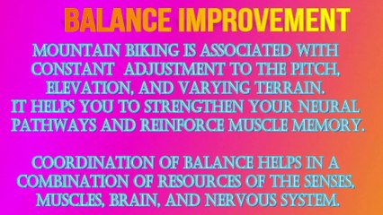 Important Information About Mountain Bike