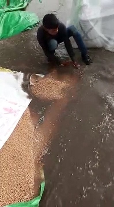 Rain havoc on farmers from flooding. Terrible that the weather has an effect on peoplesm livlihoods