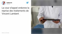 Après la diffusion d’une vidéo de Vincent Lambert, l’avocat de son épouse Rachel va porter plainte