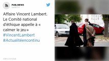 Affaire Vincent Lambert. Le Comité national d’éthique appelle à « calmer le jeu »