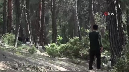 Bu Çiftin Evi 32 Yıldır Ormanlar.