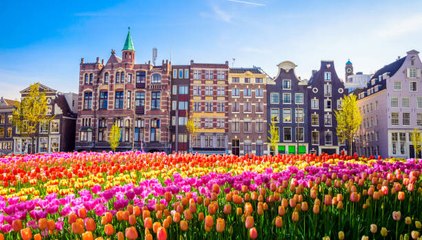 Essential Travel Itinerary: Netherlands