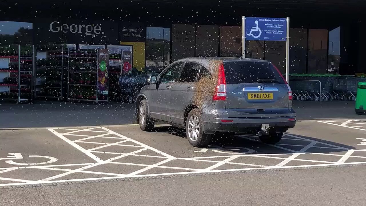 Parked car swarmed by bees outside UK supermarket