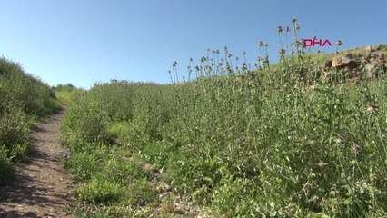 Diyarbakır Afrika'dan Diyarbakır'a Göçleri Nesiller Sürdü