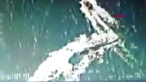 Ordu Türk Balıkçı Teknesine Ateş Açıldı 3 Yaralı 1