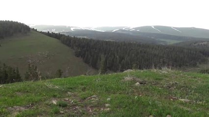 Lalelerden "Şehitler Diyarı"Nda Görsel Şölen - Kars