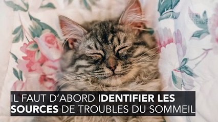 Comment vaincre la fatigue