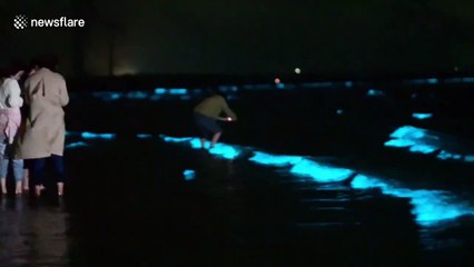 Luminous 'blue tears' phenomenon lights up waters on Chinese beach