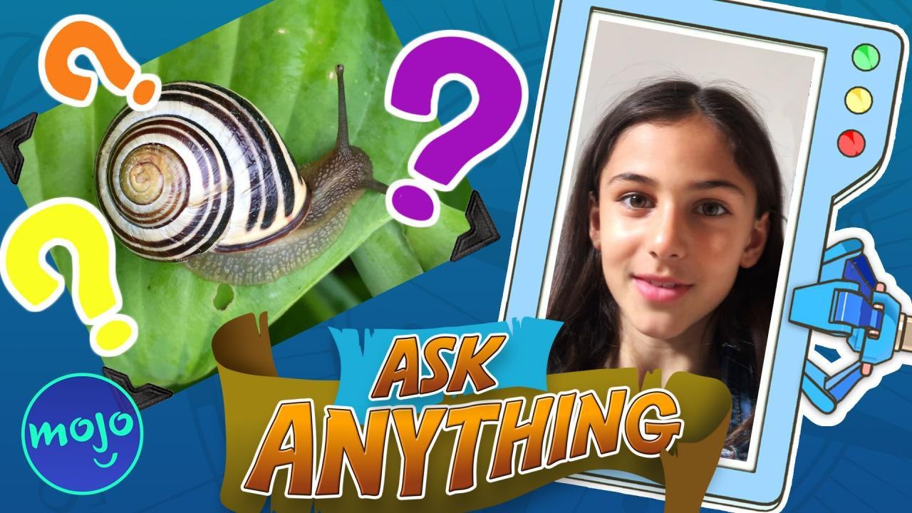 How Do Snails Grow Their Shells?