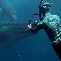 Cet homme déguisé pour filmer de très dangereuses créatures de la mer est vraiment courageux. Regardez !
