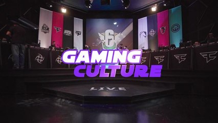 Gaming Culture: The eSport Arena
