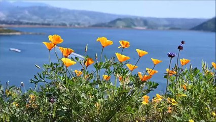 Superpranvera amerikane  - Top Channel Albania - News - Lajme