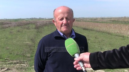 Fier, 11 vite në pritje të shpronësimeve  - Top Channel Albania - News - Lajme