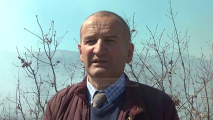 Mat, 10 ha pyll me dushqe përfshihet nga flakët - Top Channel Albania - News - Lajme