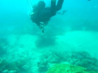 Plongée dans le lagon de Mayotte(11/2007)
