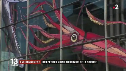 Science : les précieuses contributions des amateurs