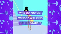 Why Do You Get Winded Walking Up The Stairs?