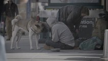 Non-Profit Provides Care For Homeless People's Pets
