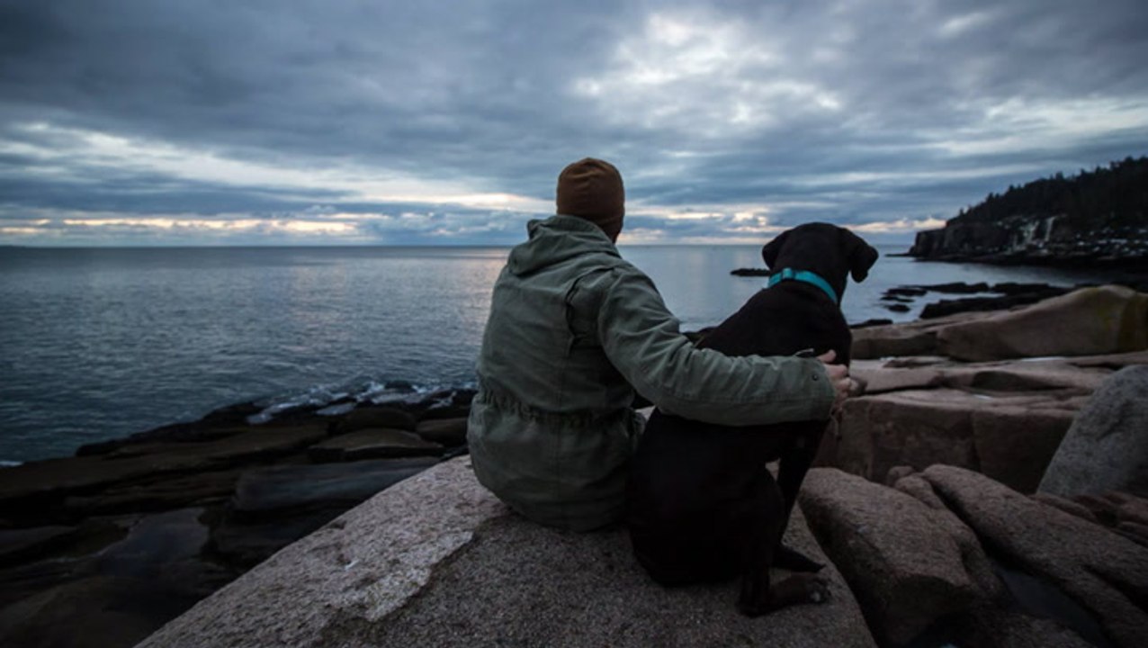 US Veteran Takes Terminally-Ill Dog On Last Road Trip