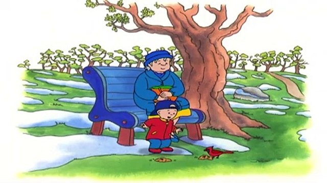 Kajtus po polsku nowe odcinki | Kajtek obserwuje ptaki | Nowy specjalny odcinek Kajtusia