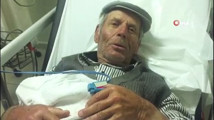 Hayvanlarını otlatırken yılan soktu