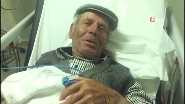 Hayvanlarını Otlatırken Yılan Soktu