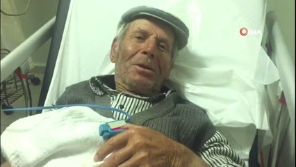 Hayvanlarını Otlatırken Yılan Soktu