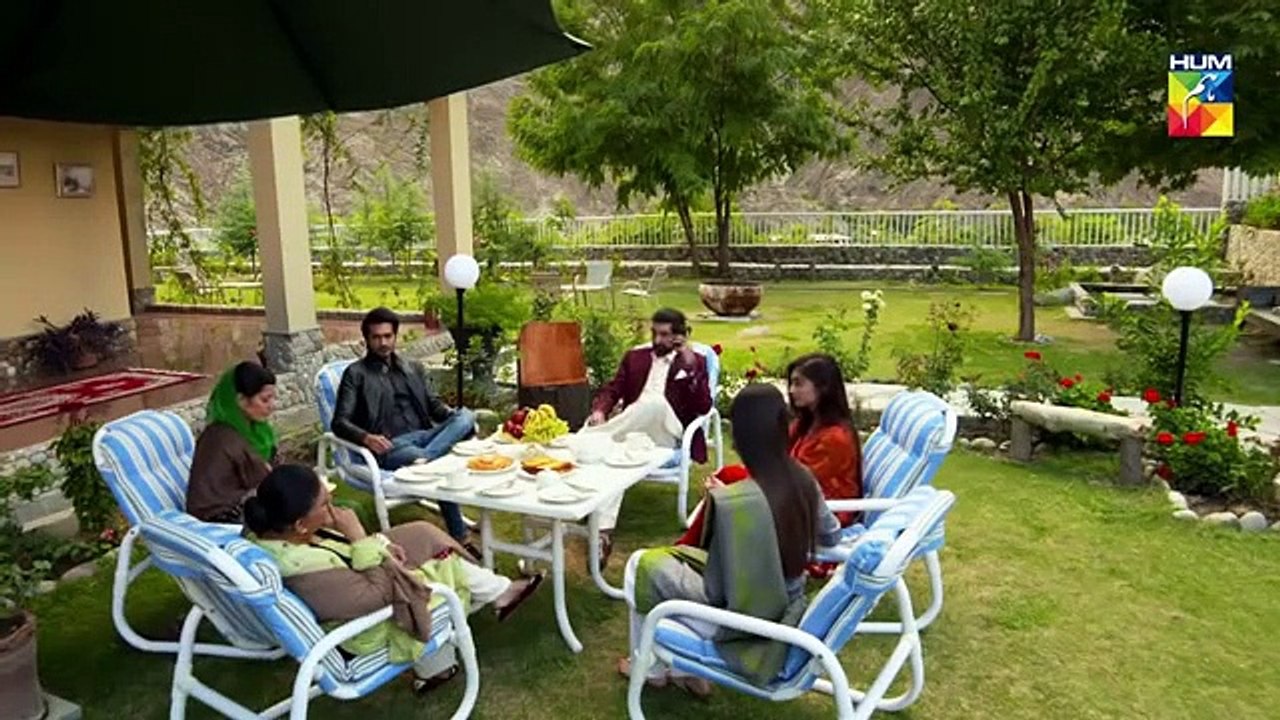 Anaa Episode 14 HUM TV Drama 19 May 2019