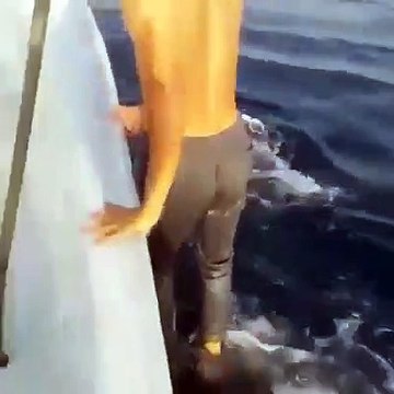 Un touriste grimpe et marche sur le dos d'un requin baleine