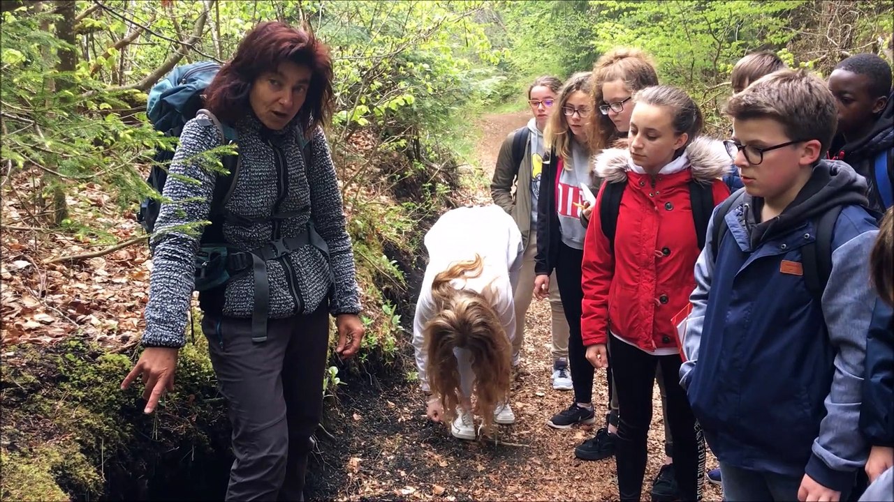 vidéopuy de la vache