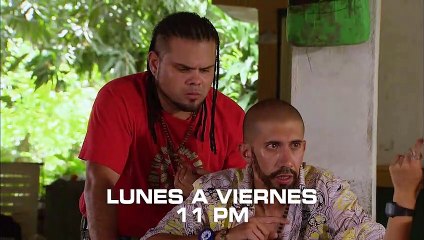 Las Muñecas de la Mafia - Esta semana