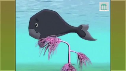 HISTORIAS DE LOS ANIMALES EN EL CORAN cap.9, La ballena de Jonás parte 1/2