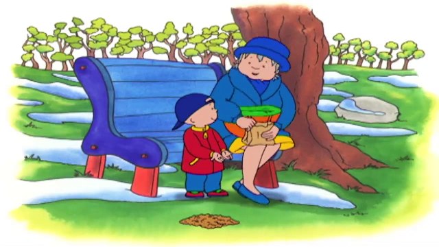 Kajtus po polsku | Kajtus i Pływanie | Bajki dla dzieci | Animacja kreskówka | Caillou Polish