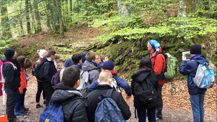 jour 2 lac pavin et  vallée de Chaudefour