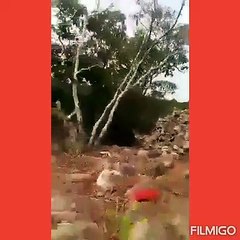 Miracle les traces de la natte ou priait serigne Touba a conakry