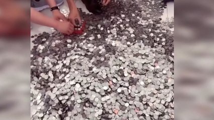 Chinese businessman buys US$27,500 car with 66 bags of coins