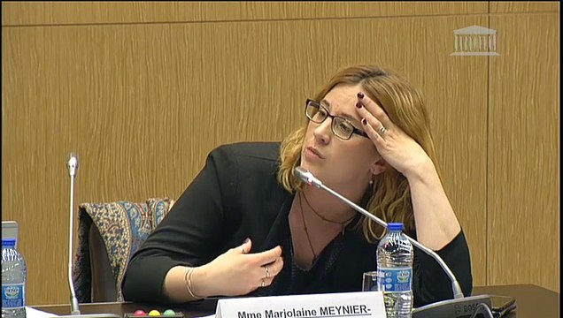 Impact des énergies renouvelables : Auditions diverses - Mardi 21 mai 2019