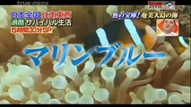 โกโกริโกะ ภารกิจใช้ชีวิตรอดในธรรมชาติ ตอนที่4.04-11-2556