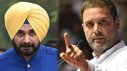 Navjot Singh Sidhu पर गिरेगी गाज ,Election result के बाद Congress उठाएगी सख्त कदम ! |वनइंडिया हिंदी