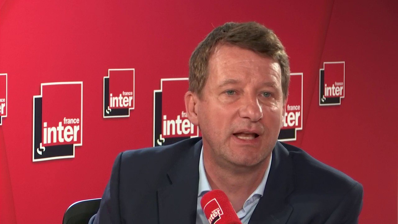 Yannick Jadot, tête de liste EELV aux élections...
