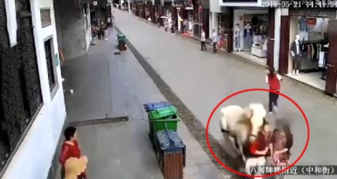 Yolda Yürürken 3 Kişiye Saldıran Başıboş At, Polis Tarafından Öldürüldü! Dehşet Anları Kamerada