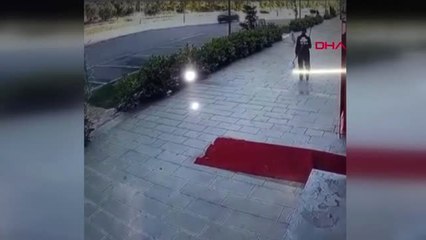 İstanbul- Uyuyan Köpeğe Süpürgeyle Acımasızca Vurdu