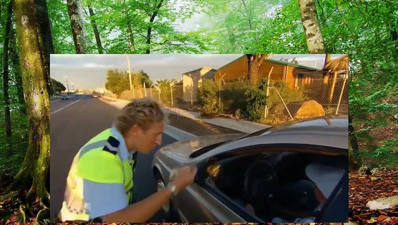 Highway Patrol   'Give Me Back My License'