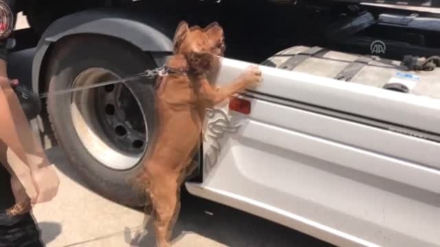 Tırda 250 Kilogram 600 Gram Esrar Ele Geçirildi