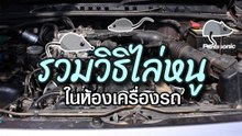 รวมวิธีไล่หนูในห้องเครื่องรถ