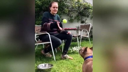 Newsflare Edit - Human and dog play catch together in UK garden