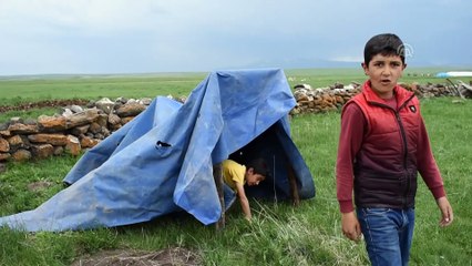 Kaz yavruları merayla buluştu - KARS